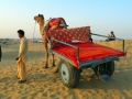 Sam Desert, Jaisalmer