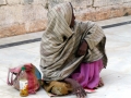 Udaipur