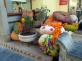 Udaipur
