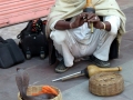 I volti del Rajasthan, Jaipur