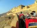 Amber Fort, Jaipur