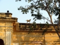 Jaipur