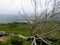 Ring of Kerry