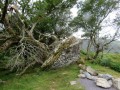Ring of Kerry