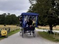 Parco Nazionale di Killarney