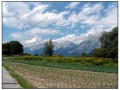 Pedalando sulla Romantische Straße