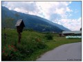 Pedalando sulla Romantische Straße