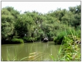 Parco Ornitologico du Pont de Gau