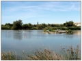 Parco Ornitologico du Pont de Gau