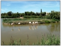 Parco Ornitologico du Pont de Gau
