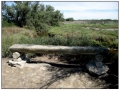 Parco Ornitologico du Pont de Gau