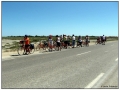 ... verso Aigues Mortes