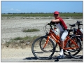 ... verso Aigues Mortes