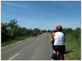 ... verso Aigues Mortes