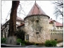 Slovenia 2009-2010