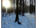 Smarjeske Toplice - Slovenia