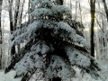 Marjeske Toplice, Slovenia