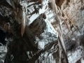 Le Grotte di Postumia