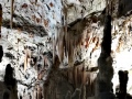 Le Grotte di Postumia