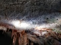 Le Grotte di Postumia-Sala degli Spaghetti