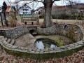 Dolenje Kronovo