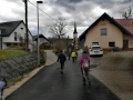 Dolenje Kronovo
