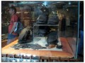 Museo del Vasa - Stoccolma