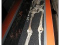 Museo del Vasa - Stoccolma