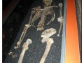 Museo del Vasa - Stoccolma