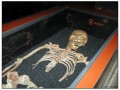 Museo del Vasa - Stoccolma