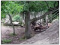 Il Museo all'aperto di Skansen - Stoccolma
