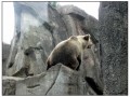 Il Museo all'aperto di Skansen - Stoccolma