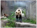 Il Museo all'aperto di Skansen - Stoccolma