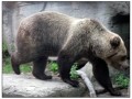 Il Museo all'aperto di Skansen - Stoccolma