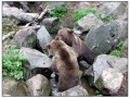 Il Museo all'aperto di Skansen - Stoccolma