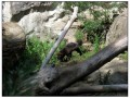 Il Museo all'aperto di Skansen - Stoccolma