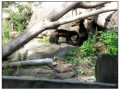 Il Museo all'aperto di Skansen - Stoccolma
