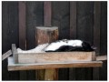 Il Museo all'aperto di Skansen - Stoccolma