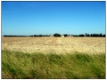 ... verso Saint Remy de Provence
