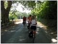 ... verso Saint Remy de Provence