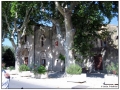 Provence