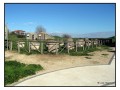 Necropoli Etrusca di Monterozzi - Tarquinia