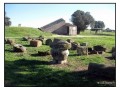 Necropoli Etrusca di Monterozzi - Tarquinia