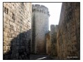 Tarquinia