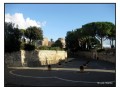 Tarquinia