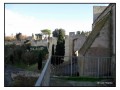 Tarquinia