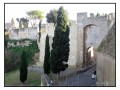 Tarquinia