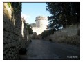 Tarquinia