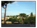 Tarquinia