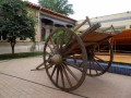 Tashkent